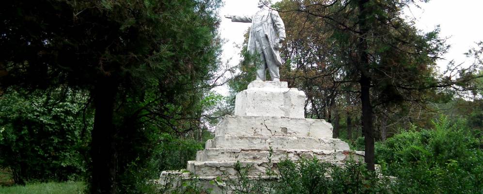 
            Фотография Лесной Поляны