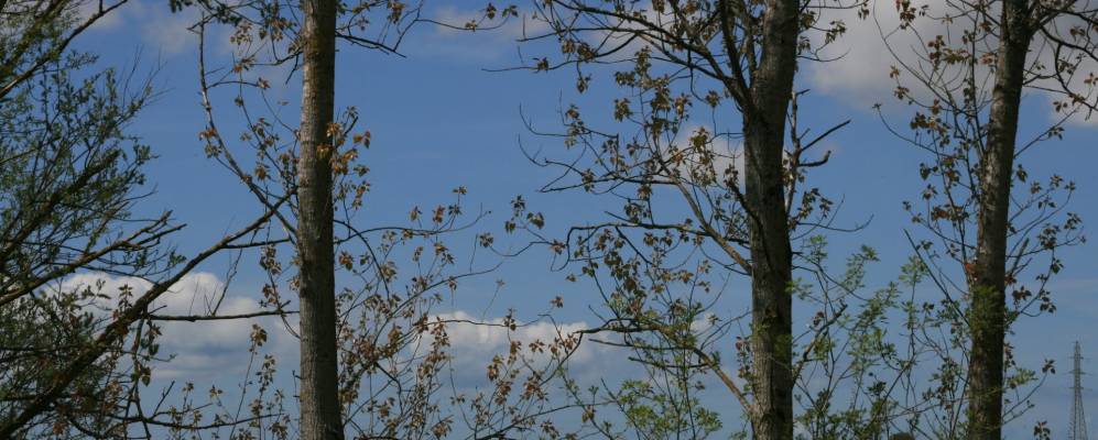 
            Фотография Andilly