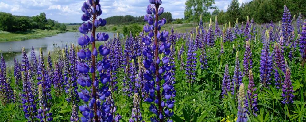 
            Фотография поселка Борзенкова