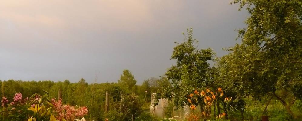 
            Фотография Пшеничного