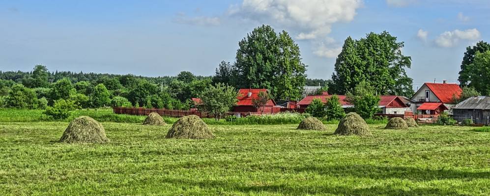 
            Фотография деревни Рогачи