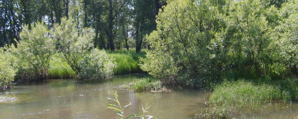 Фотография Кайбалы