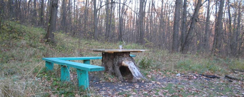 
            Фотография Полянок