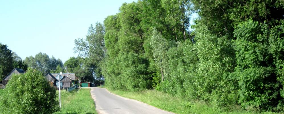 Фотография Тумина