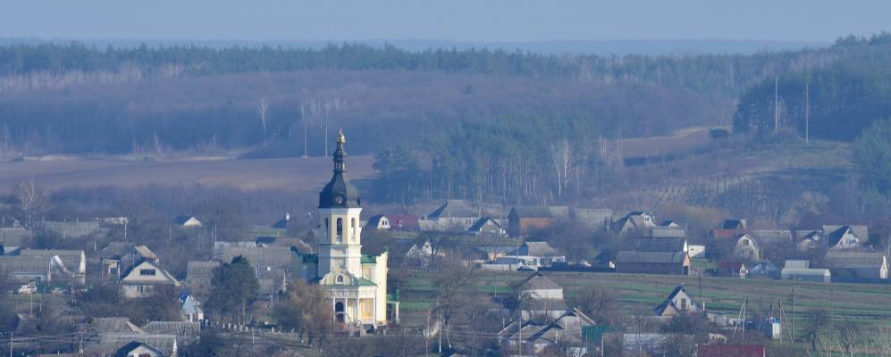 
            Фотография Чайки