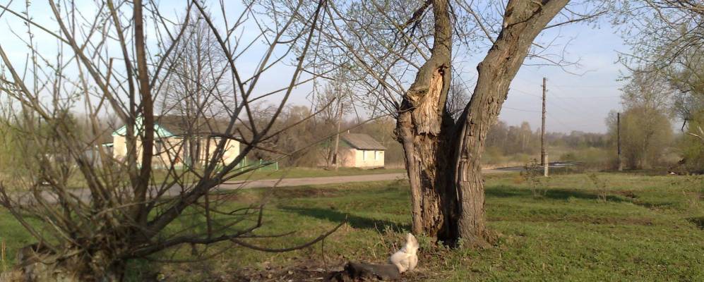 
            Фотография деревни Уланова