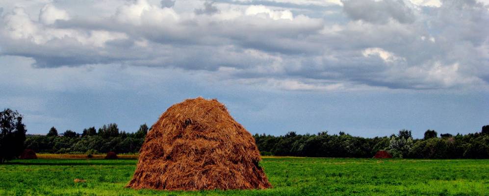 
            Фотография Ешполдино