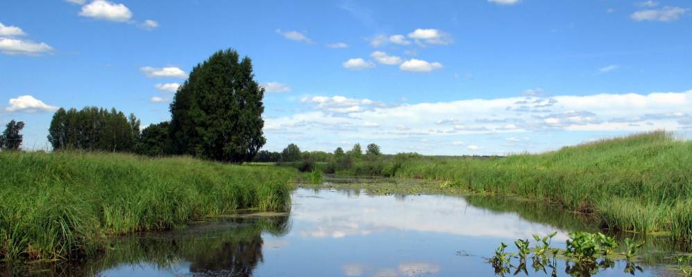 
            Фотография Плотавцево
