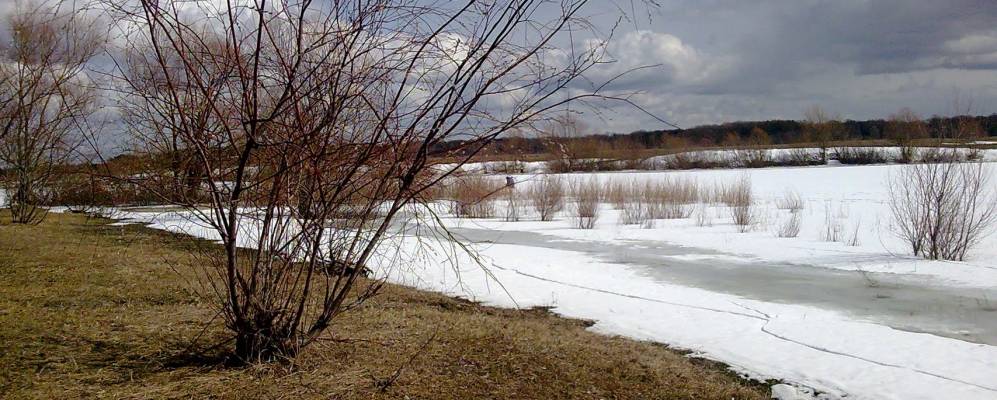 
            Фотография Прогонов