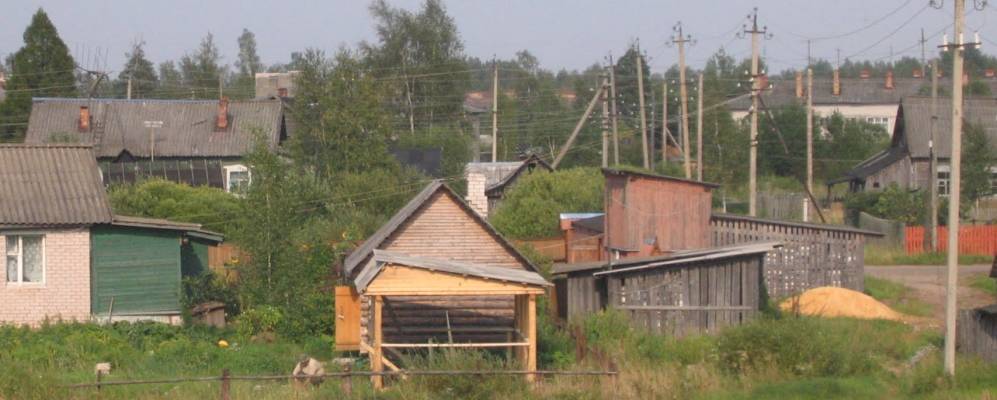 Фотография Вялки