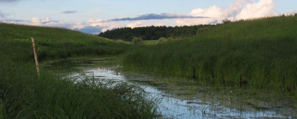 
            Фотография Тузаклов