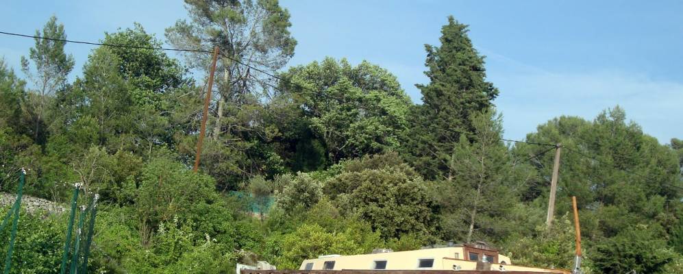 
            Фотография Лорг