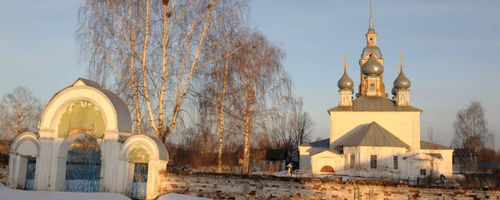 
            Фотография Крутика