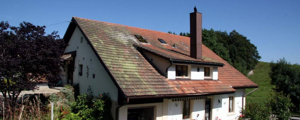 
            Фотография Трамелана