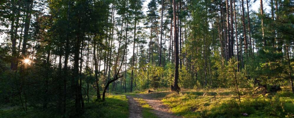 
            Фотография Довборово