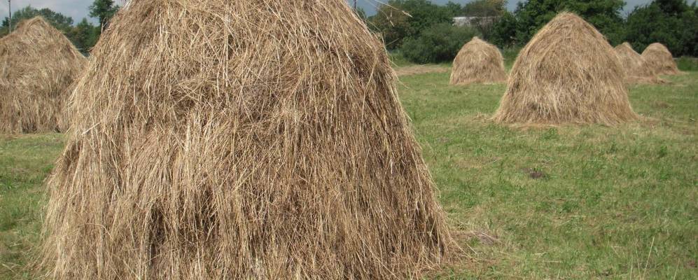 
            Фотография Мазуровки