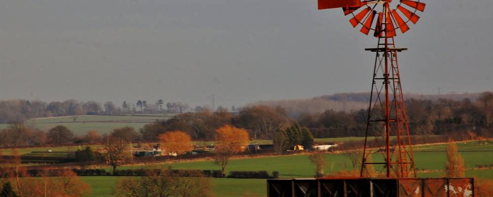 
            Фотография Книборо