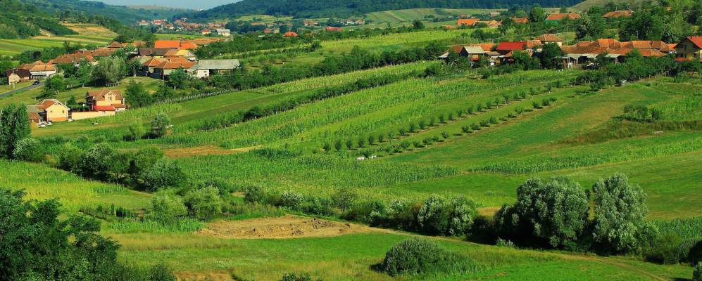 
            Фотография Хидишелу-де-Суса