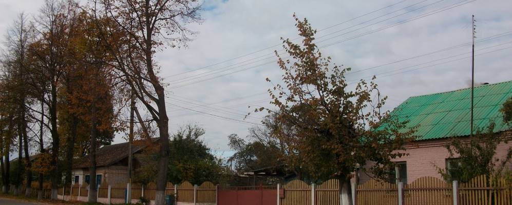 
            Фотография деревни Лутики