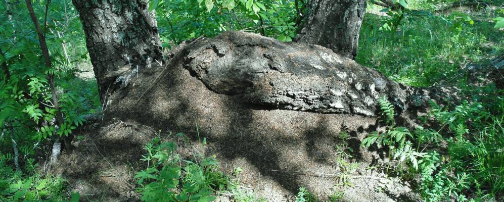 Фотография Матвеевки