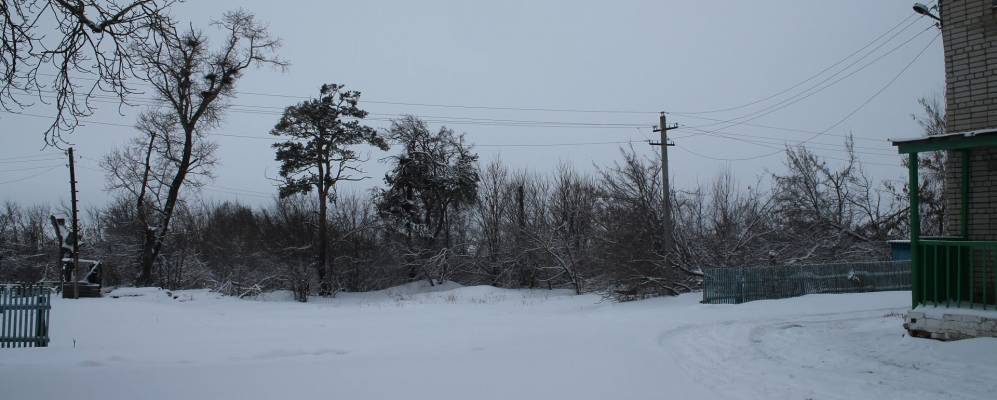 
            Фотография Муратовки