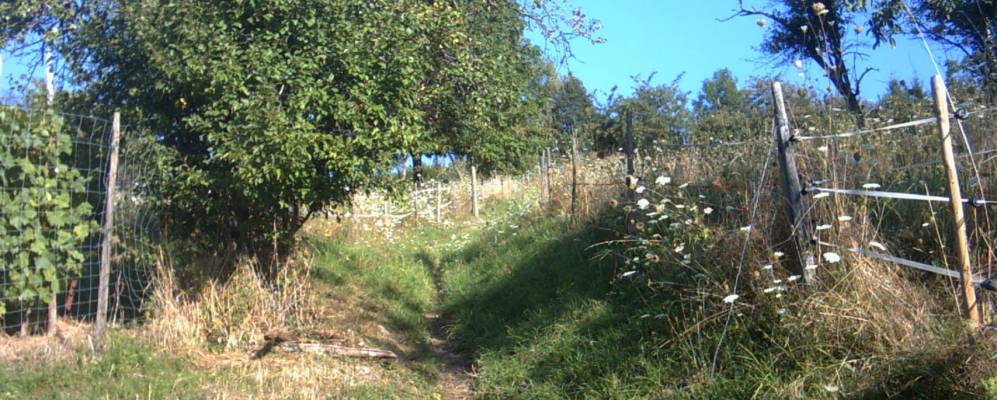 
            Фотография Гунсбах