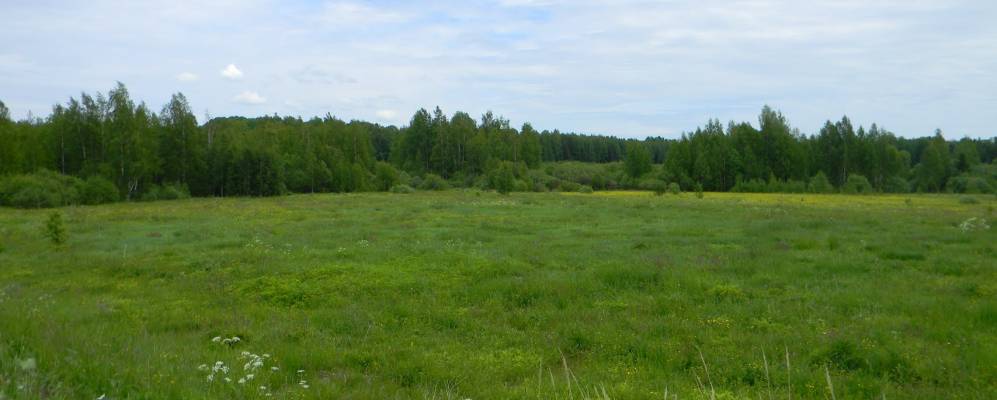 Фотография Тюрино