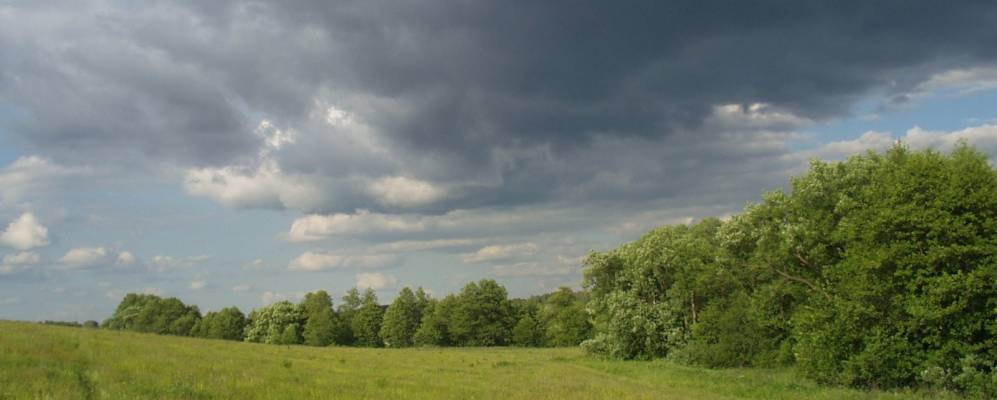 
            Фотография Бежки