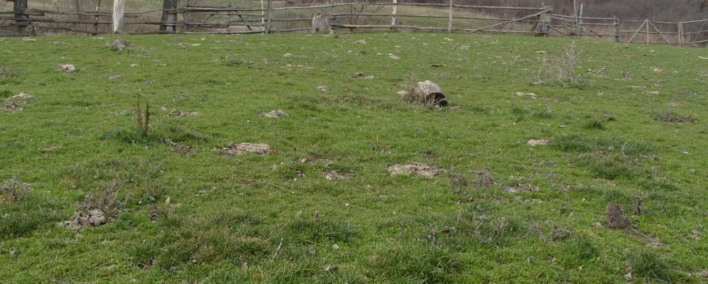 
            Фотография Березнягов