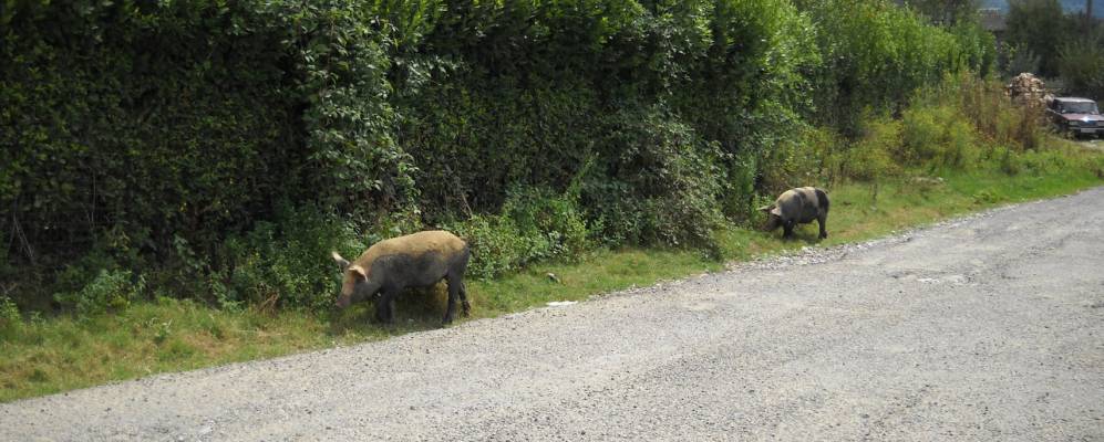 
            Фотография Нижней Шиловки