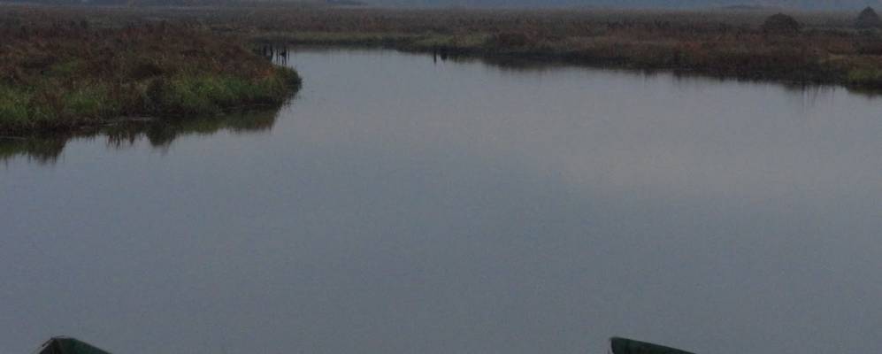 
            Фотография Оленина