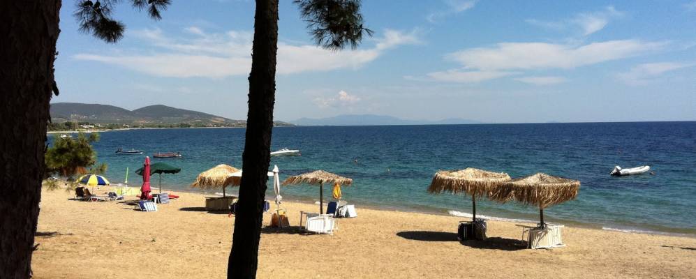 
            Фотография Каливия Полиру