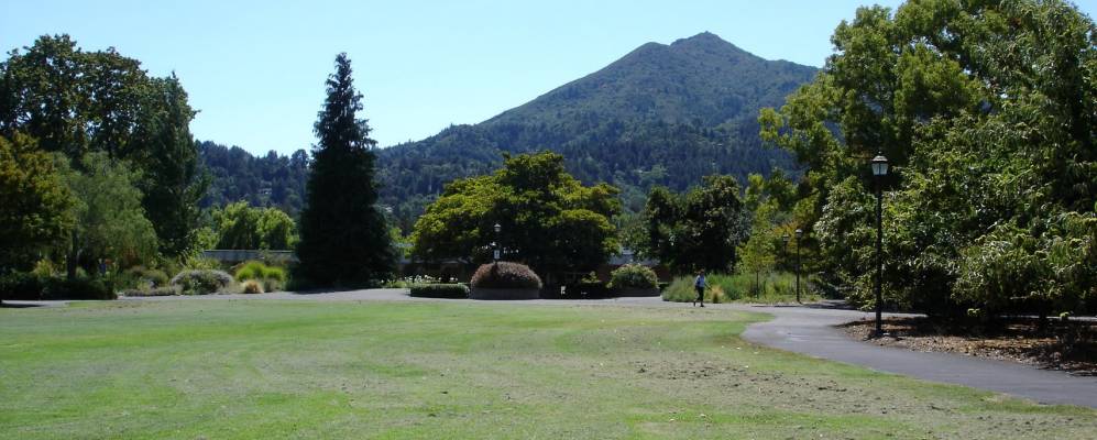 
            Фотография Росса