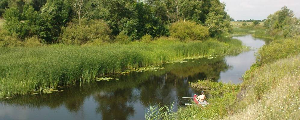 Фотография Червоной Орельки