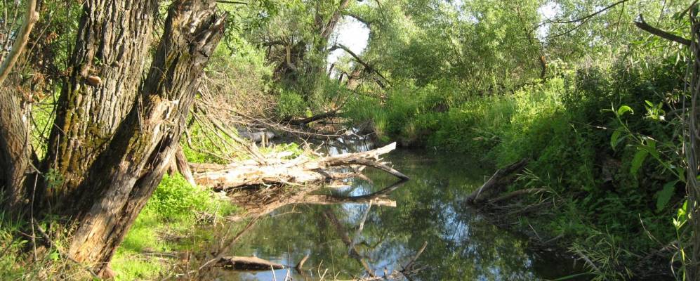 
            Фотография Николаевки