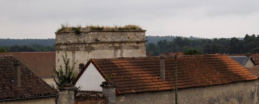 
            Фотография Мэса