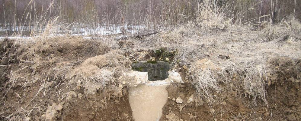 
            Фотография Хлыстово