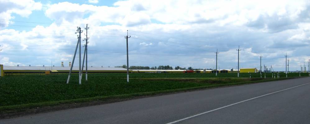 
            Фотография Чистополья