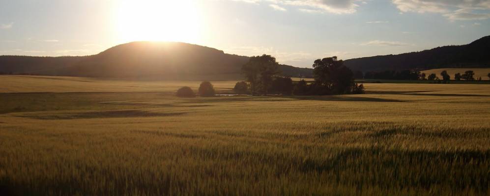 
            Фотография Tonndorf