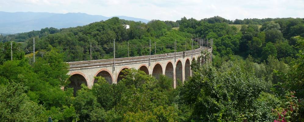 
            Фотография Бучине