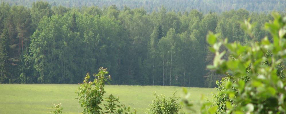 
            Фотография Глушихи