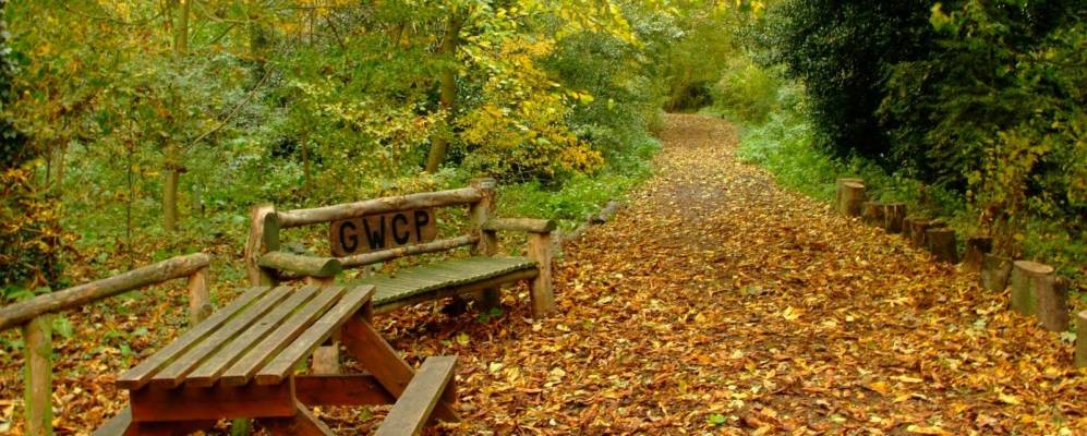 
            Фотография Кортона