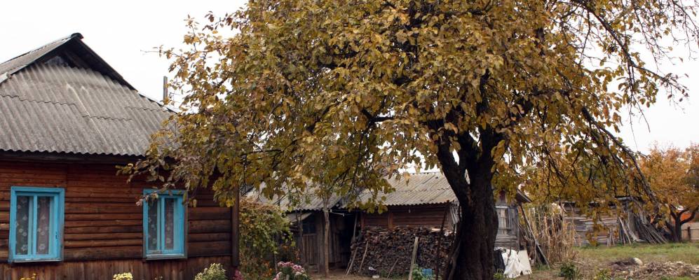 
            Фотография Скугари