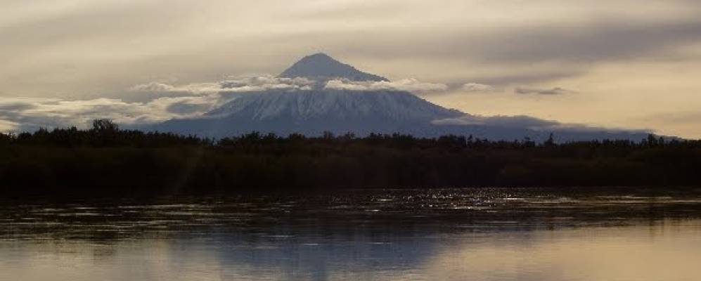 
            Фотография Крапивной
