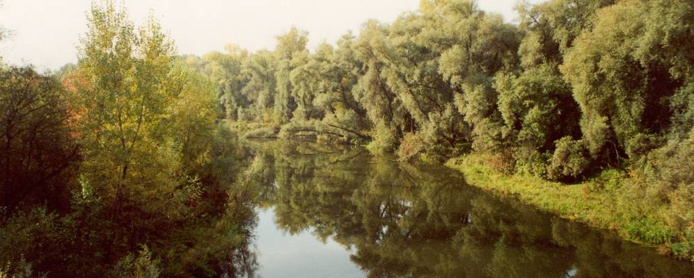 
            Фотография Кирово