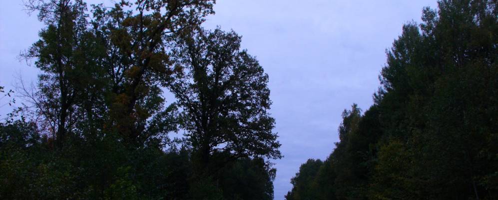 
            Фотография Шлях-Пущи