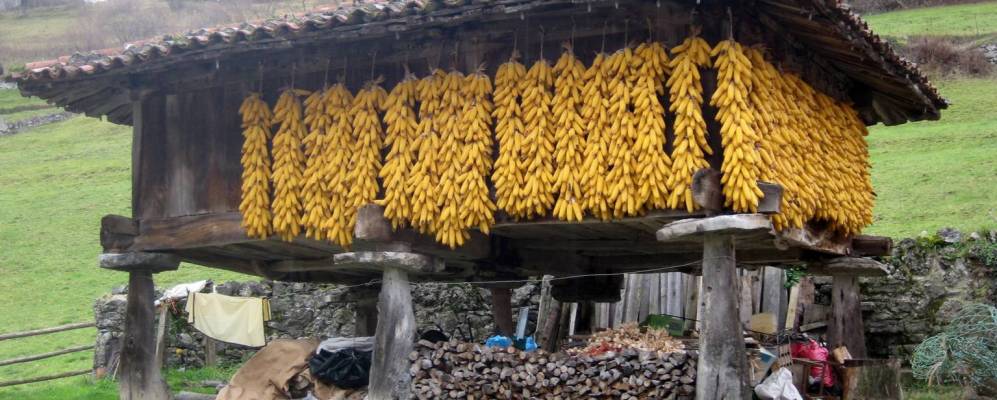 Фотография Проаса