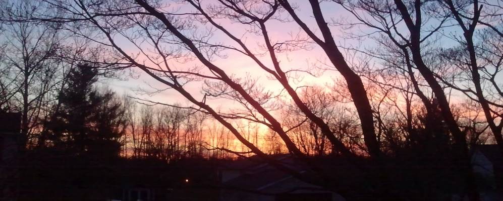 
            Фотография Уортингтон Хиллса