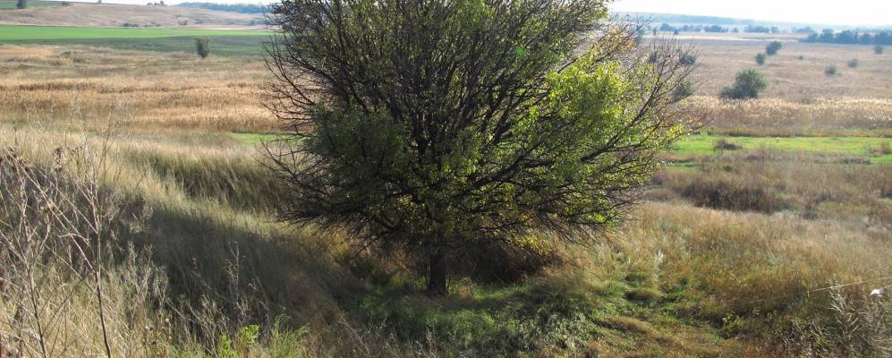 
            Фотография Егоровки