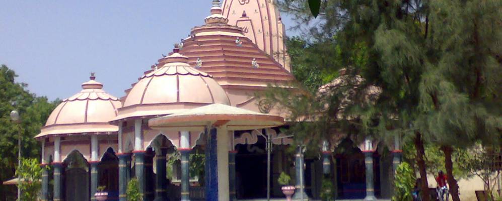 
            Фотография Багасры